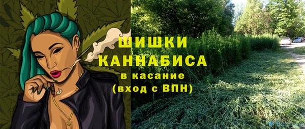 хмурый Козловка