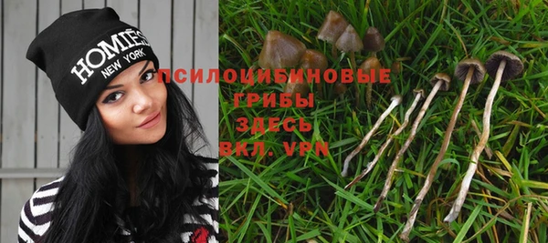 бутират Алзамай