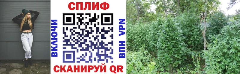 Купить где  Тулун  Марихуана гибрид 